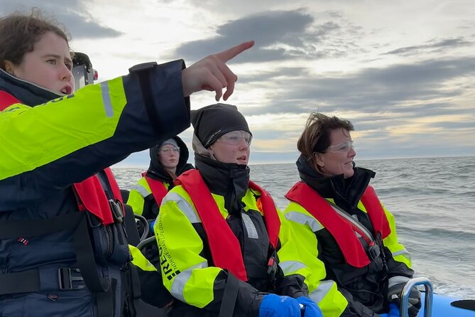 Whale Watching - RIB Boat Adventure in Kopavogur, Iceland - An hour of searching for humpbacks and dolphins