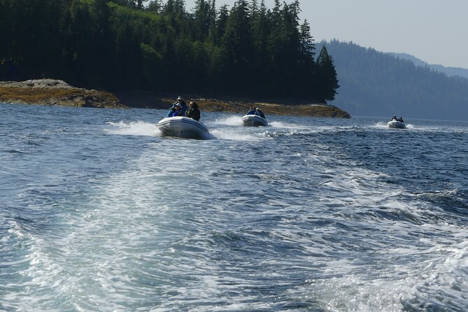 Wilderness Zodiac Quest - Leaving the cruise terminal for George Inlet