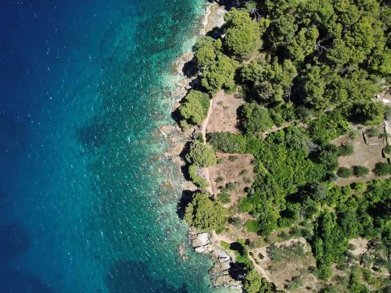 Zadar: 3 Islands Speedboat Tour with Drinks and Diving - Should you book the Zadar three-island tour?