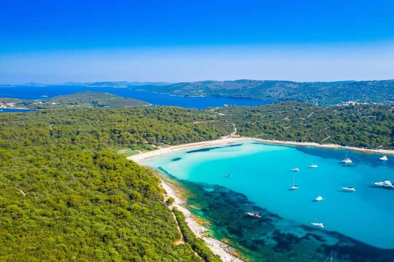 Zadar: Sakarun Beach & Dugi Island Speedboat Tour w/Diving - Pine trees, a natural cove, and the old oil mill