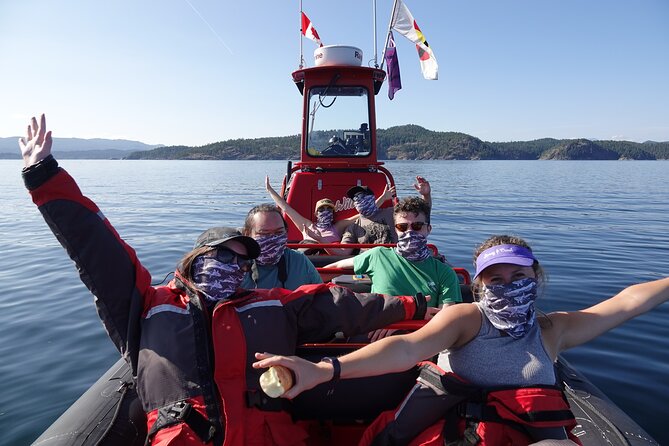 Zodiac Boat Whale and Wildlife 4-Hour Tour from Campbell River - Price and overall value