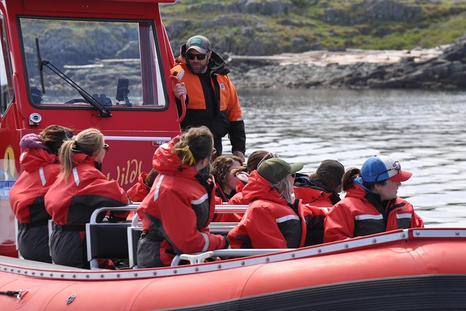 Zodiac Boat Whale and Wildlife 6-Hour Tour from Campbell River - Cape Mudge Lighthouse and Quadra Island