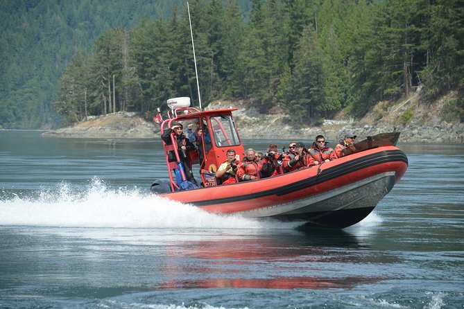 Zodiac Boat Whale and Wildlife 7-8-Hour Tour from Campbell River - The Zodiac ride and small-group feel