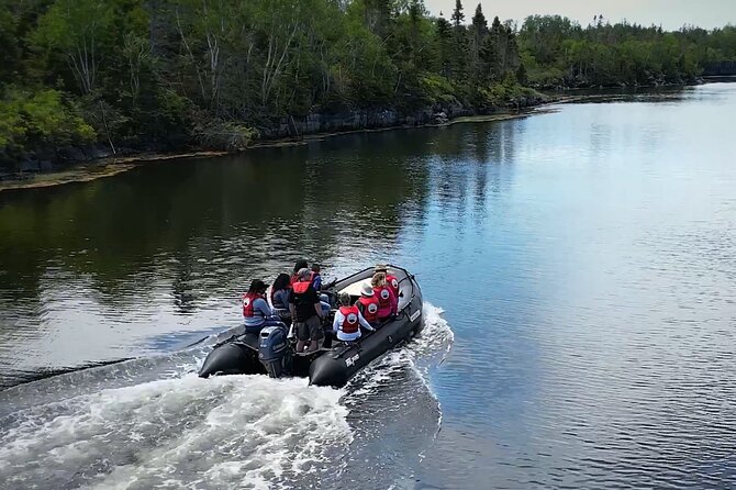 Zodiac Coastal Tour with Naturalist Guide: Lunenburg - Leaving Lunenburg Behind for the Open Water