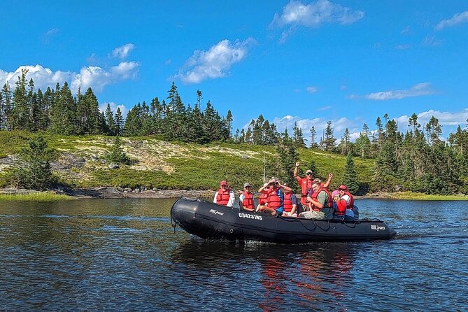 Zodiac Coastal Tour with Naturalist Guide: Lunenburg - Islands, Seals, Eagles, and Seabirds