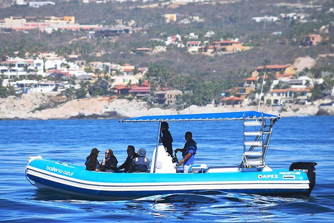 ZODIAC Whale Watch Tour | Cabo San Lucas | Biologist | FREE Pics - Meeting at Cabo’s marina